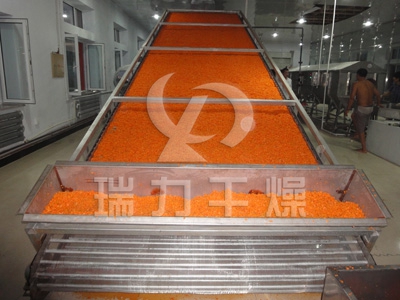 木薯片/山芋片/土豆片專用干燥機(jī)成套裝置 木薯片/山芋片/土豆片專用干燥機(jī)成套裝置